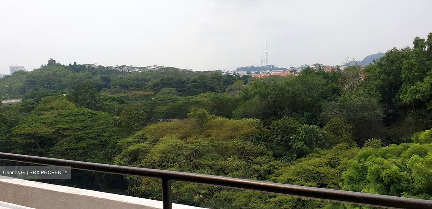 Clementi Park (D21), Condominium #570575101